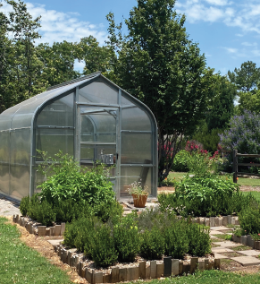 A greenhouse with growing plants all around.
