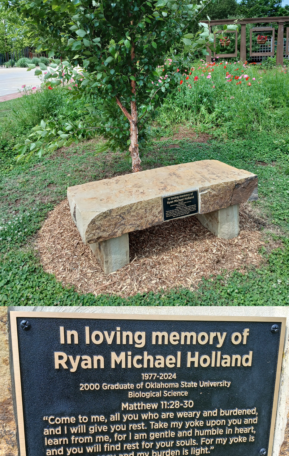 A bench with a plaque, In Loving Memory of Ryan Holland that sits in a patch of grass.