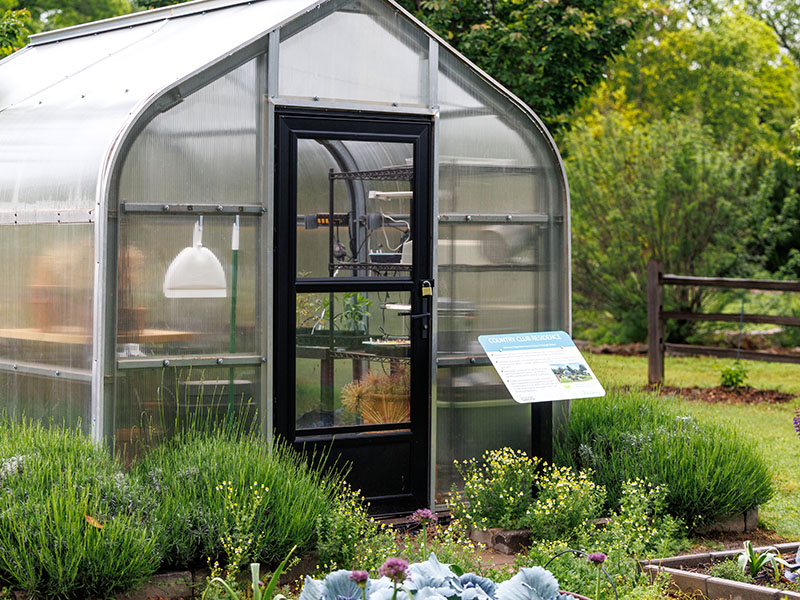green-house-800x600