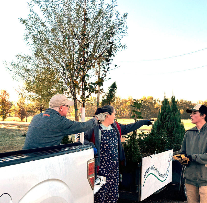 Three people standing around a tree beside a pickup truck.